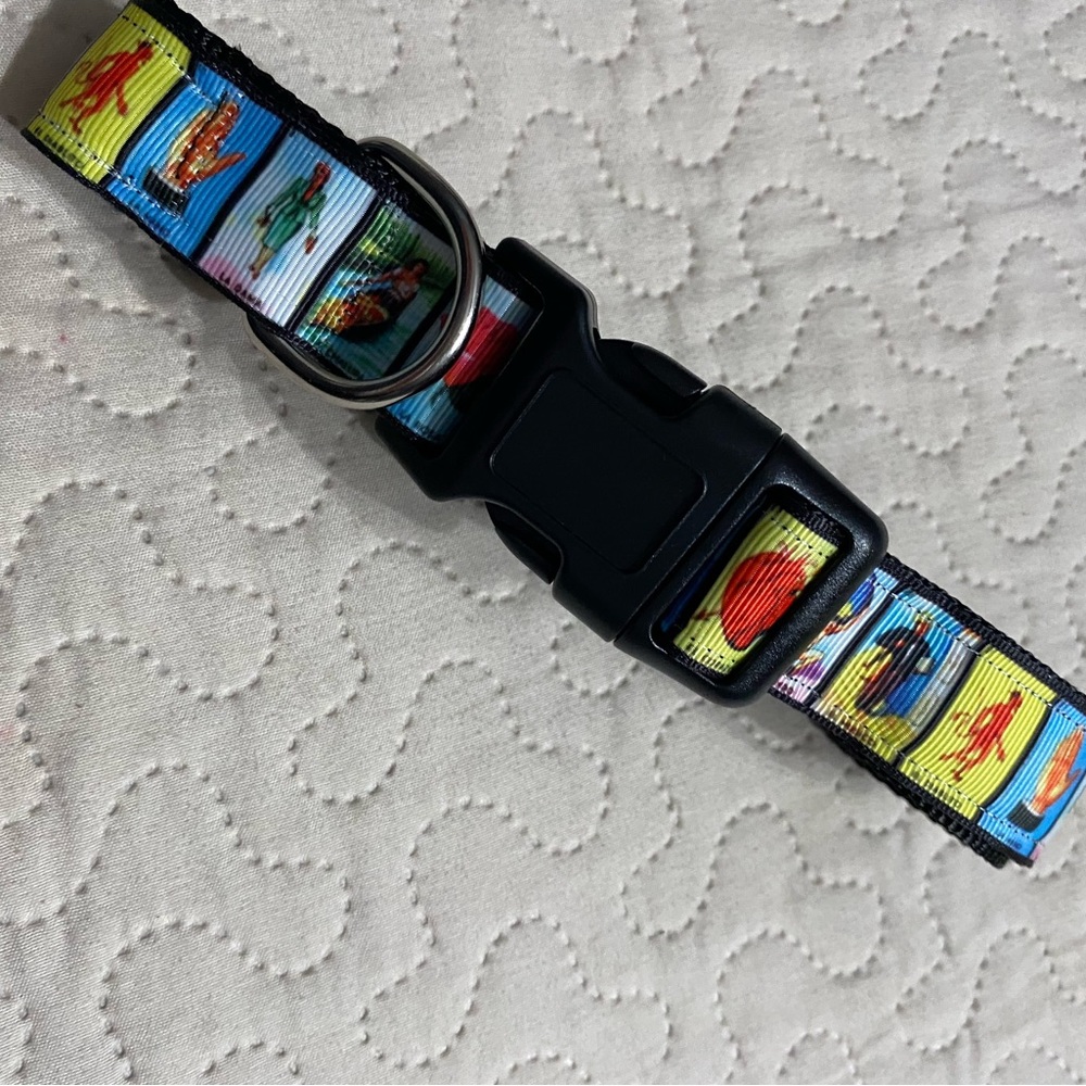 Loteria collar large pet Mexican bingo fashion cards tarot sirena Latin Mexico